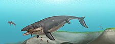 Life restoration of Mosasaurus hoffmanni