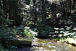 The Bull Run River near its headwaters in the Cascade Range