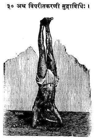 The mudra Viparita Karani using a headstand in Yogasopana Purvacatuska, 1905