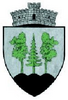 Coat of arms of Horodnic de Sus