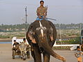 Mahudeswarar Temple elephant