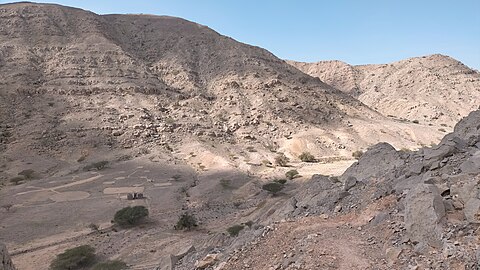 Wadi Naqat. Middle course