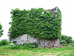 Ruin of Castle Mahon, just outside Mahoonagh village