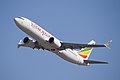 Aircraft involved in Ethiopian Airlines Flight 302