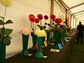 'Best in Show' Flower competition