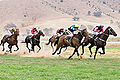 Image 19 Horse racing Credit: Fir0002 Horses race on grass at the 2006 Tambo Valley Races in Swifts Creek, Victoria, Australia. Horseracing is the third most popular spectator sport in Australia, behind Australian rules football and rugby league, with almost 2 million admissions to the 379 racecourses throughout Australia in 2002–03. More selected pictures