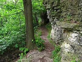 Trail adjacent to the escarpment