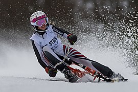 2018 STM Austria Skibob Hochficht GRUBER Sarah-2779