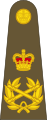 Field marshal of the British Army epaulette