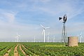 Image 57Roscoe Wind Farm: an onshore wind farm in West Texas near Roscoe (from Wind power)