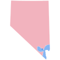 2008 United States presidential election in Nevada by congressional district