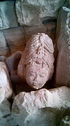 Sculpture of head of Shiva