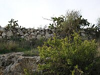 Ruins of the village, 2008
