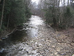 Larrys Creek passing through Anthony Township