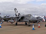 Panavia Tornado GR4 in grey colour scheme and special markings for the 95th anniversary of the squadron in 2007.