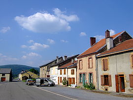 A general view of Haulmé