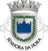 Coat of arms of Cidade da Senhora da Hora