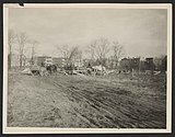 Seaside Village Construction 1918 – Papers of Arthur Shurcliff and Sidney Shurcliff. Folder C018. Special Collections, Frances Loeb Library, Graduate School of Design, Harvard University.