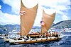 Hokule'a, a fibreglass replica of a Hawaiian catamaran waʻa kaulua, with curved-spar, curved-leech crab claw sails