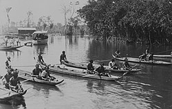 Rowing contest near Ricanau Mofo (early 20th century)
