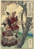 Woodblock print by Tsukioka Yoshitoshi, series "Courageous Warriors" ("Yoshitoshi musha burui"), Kurō Hangan Minamoto Yoshitsune and Musashibō Benkei under a cherry tree