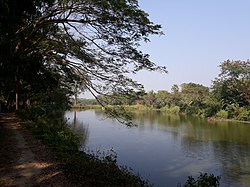 Haringhata Forest and Lake