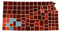 Image 17Map of counties in Kansas by racial plurality, per the 2020 U.S. census Legend Non-Hispanic White   30–40%   50–60%   60–70%   70–80%   80–90%   90%+ Hispanic or Latino   50–60%   60–70% (from Kansas)