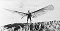 Lilienthal preparing for a Small Ornithopter flight, 16 August 1894