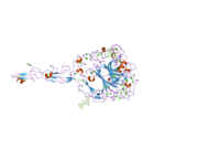 1yo8: Strucuture of the C-terminal domain of human thrombospondin-2