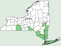 New York distribution map, 2012