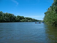 River Tisza near Tiszapüspöki