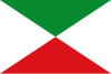 Flag of Pajarón