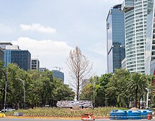 A dry tree stands in the middle of a traffic circle