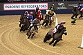 The Shetland Grand National at Olympia 2017