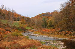 Bowman Creek in Eaton Township