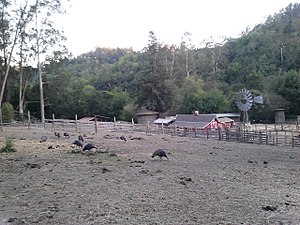 "The Little Farm" has various livestock