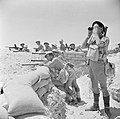 Image 58British infantry near El Alamein, 17 July 1942 (from Egypt)