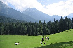 View of valley in Pahalgam town, Anantnag district, Jammu and Kashmir, India