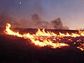 Image 26Lightning-sparked wildfires are frequent occurrences during the dry summer season in Nevada. (from Wildfire)