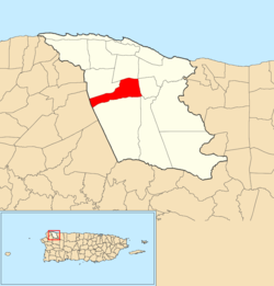 Location of Arenales Bajos within the municipality of Isabela shown in red