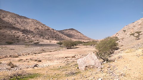 Wadi Naqat. Little slope in most of its course