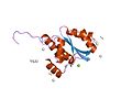 Thumbnail for Kinase binding protein CGI-121