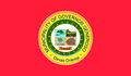 Flag of Governor Generoso