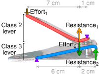 Levers of a compound-lever clipper; purple triangles denote the fulcra