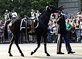 The caparisoned, riderless horse named Sergeant York during the ceremonial funeral procession of Ronald Reagan, with a ceremonial sword attached to the saddle and a pair of the president's boots reversed in the stirrups, 2004.