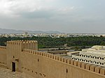 Fortress walls with palm trees and a city in the background