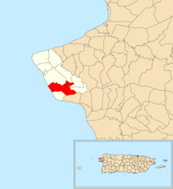 Location of Calvache within the municipality of Rincón shown in red