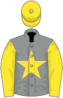 Grey, yellow star, sleeves and cap