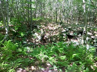 Quinebaug Trail - stone foundation ruins north of Hell Hollow Pond.