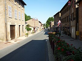 The D504 road in Rivolet